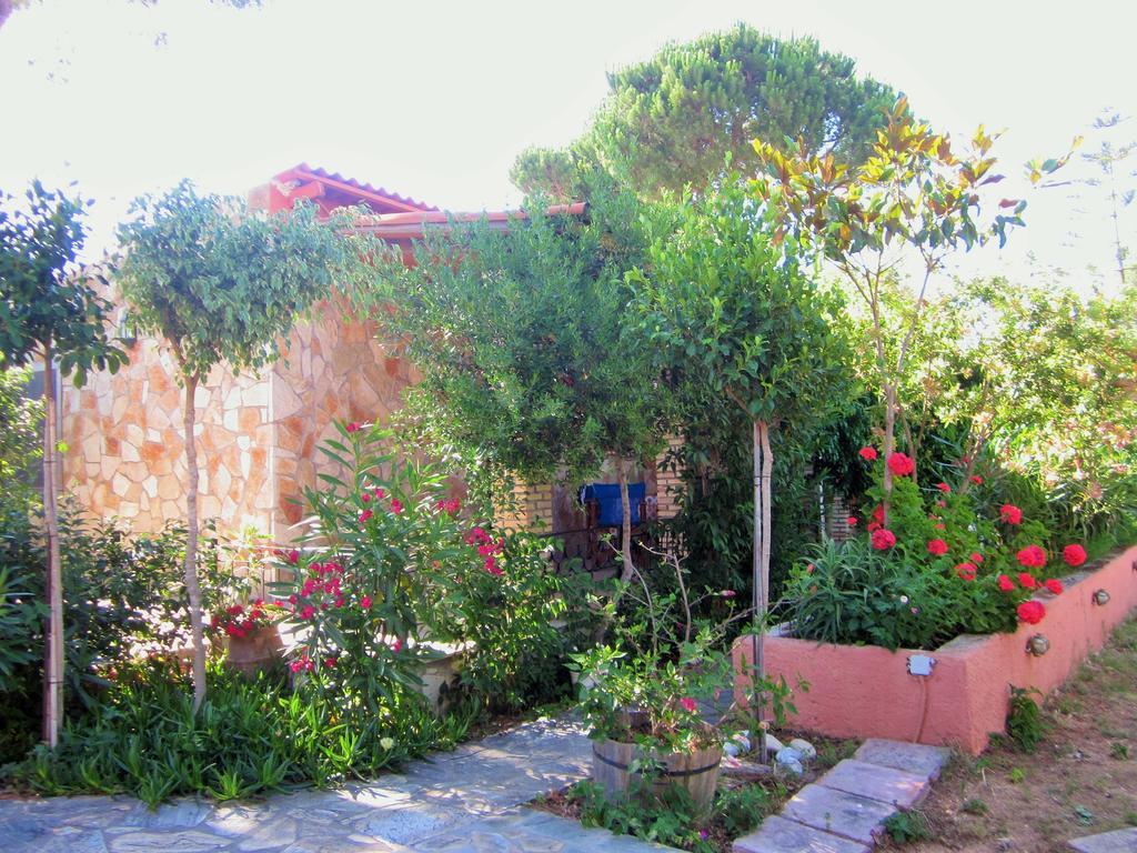 Artemis Vassilikos Aparthotel Vasilikí Rum bild