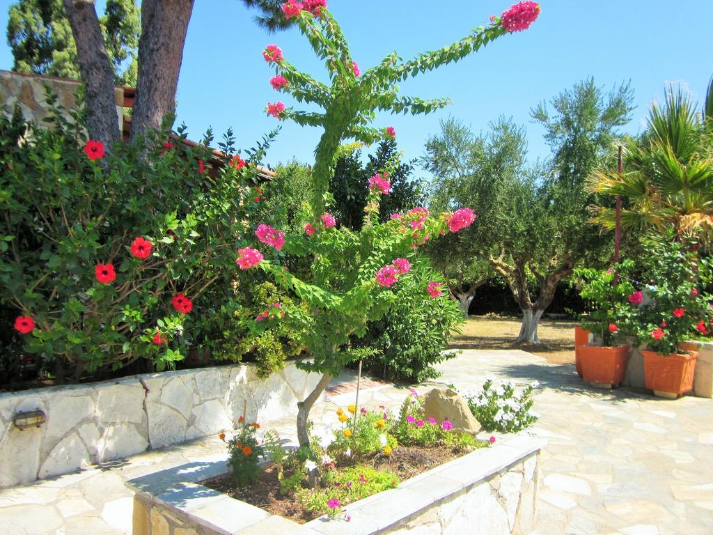 Artemis Vassilikos Aparthotel Vasilikí Rum bild